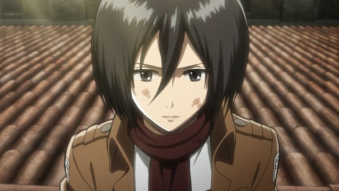 Ackerman Mikasa (Attack On Titan)