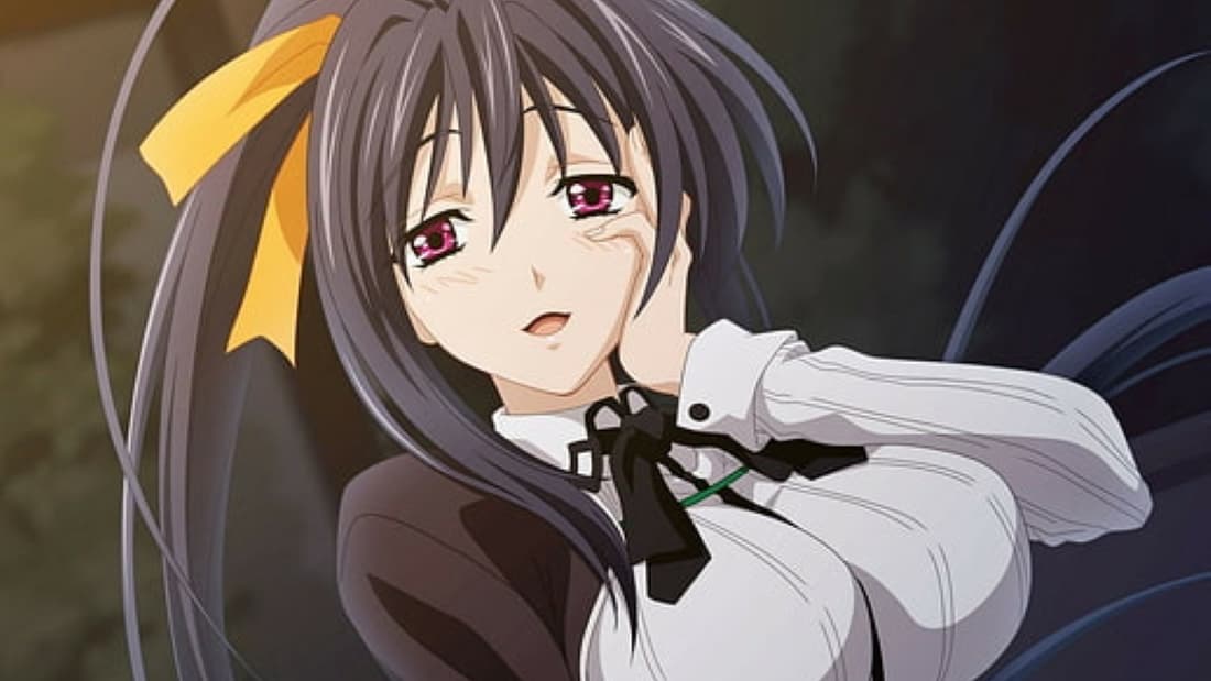 Himejima Akeno (High School DxD)