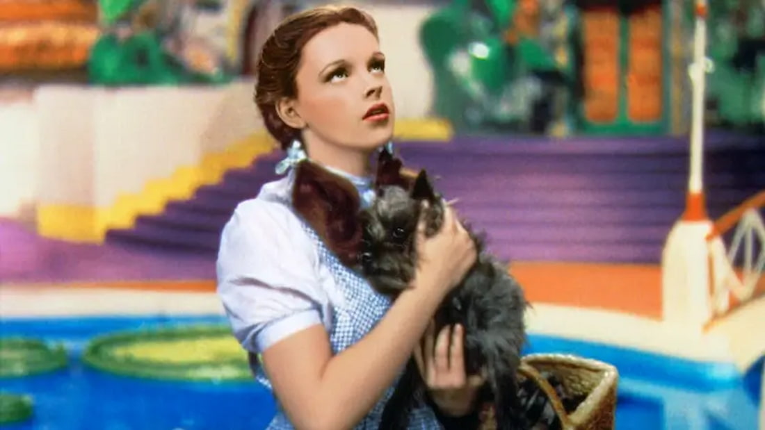  Dorothy (The Wizard of Oz)