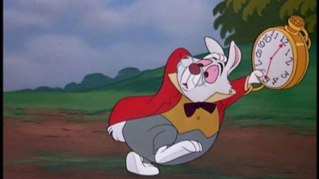 White Rabbit
