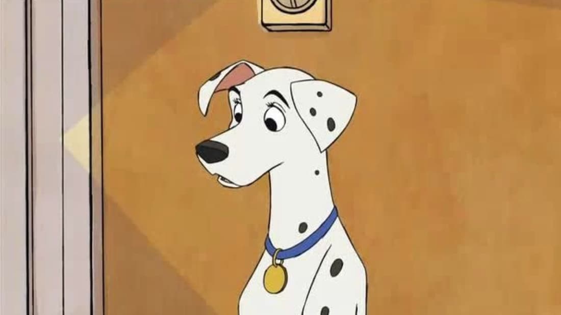Perdita