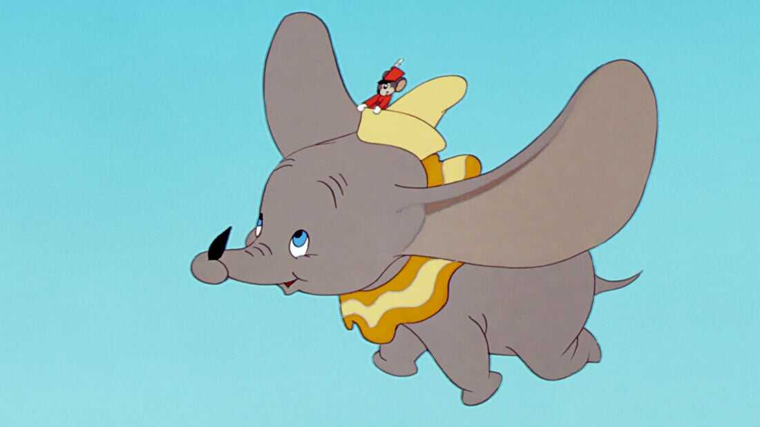  Dumbo