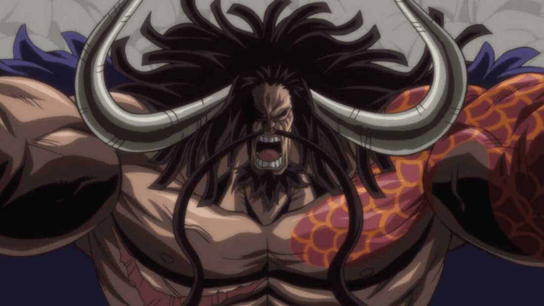 Kaido (4,6111,100,000 Berries)