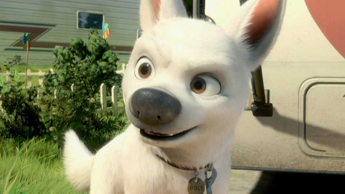 Bolt (Bolt)