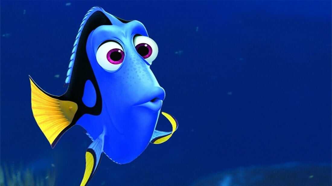 Dory (Finding Dory)