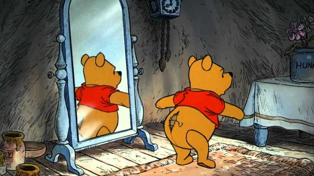 Winnie The Pooh (The Many Adventures of Winnie the Pooh)